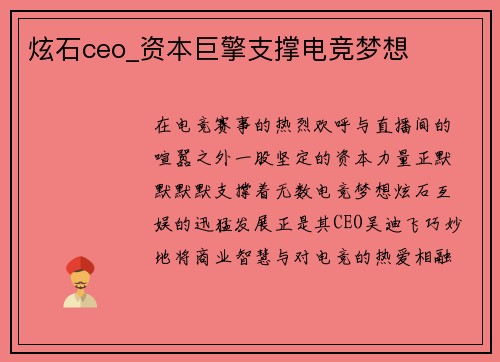 炫石ceo_资本巨擎支撑电竞梦想